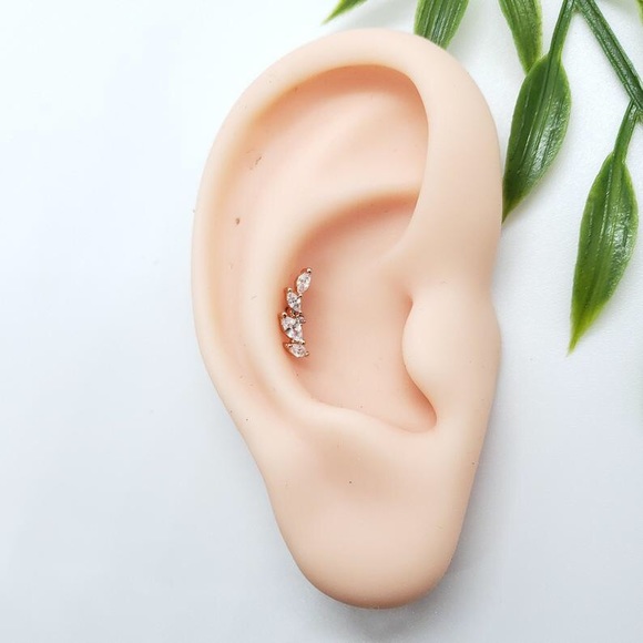 Jewelry - 16G Leaf Conch/Cartilage Piercing